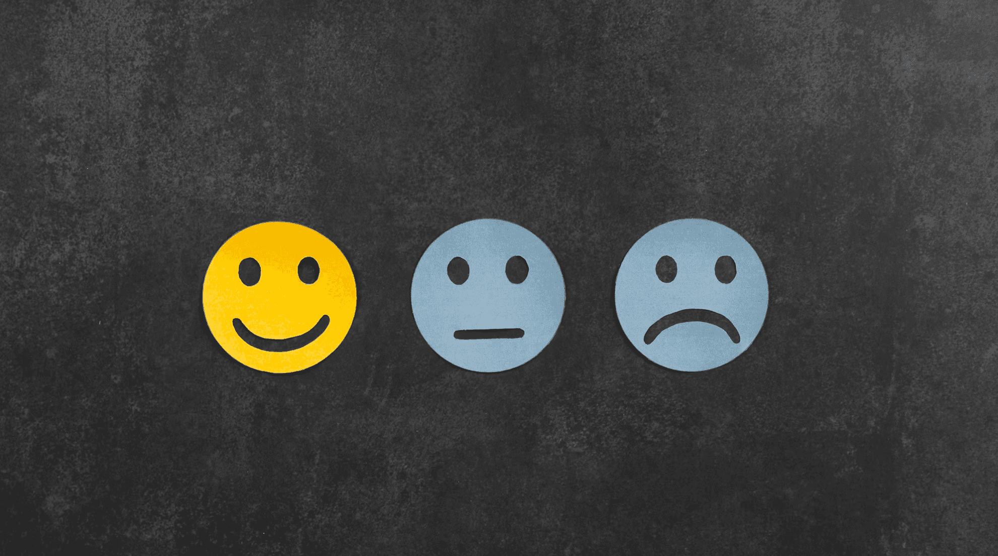 Bipolar Wellness Support and Education 